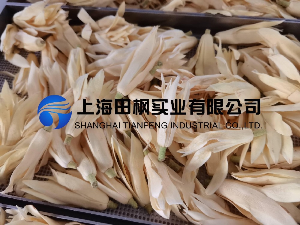 白玉蘭凍干，鮮花凍干機(jī)應(yīng)用于白玉蘭真空冷凍干燥