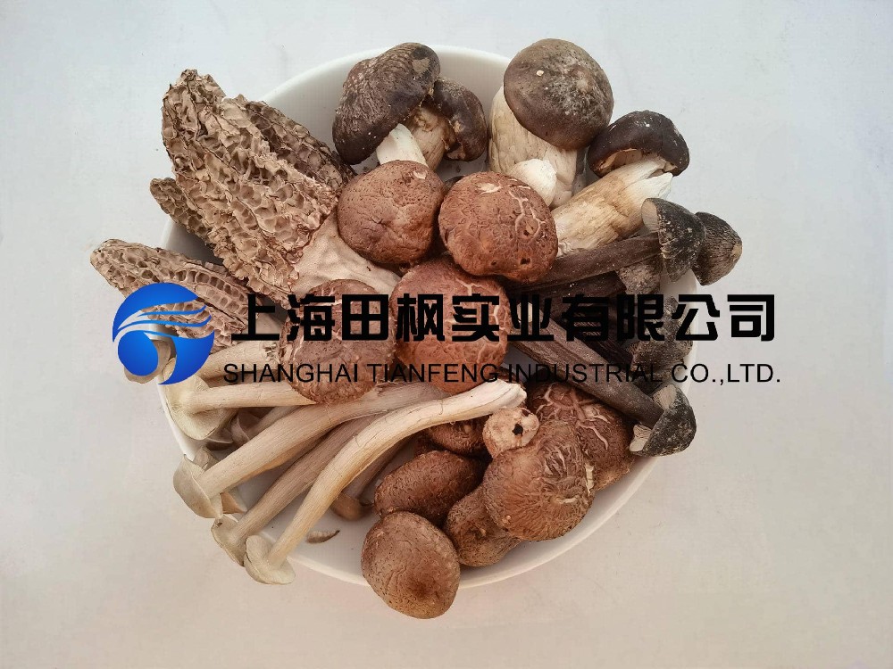 凍干菌菇1(1).jpg